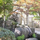 松戸神社様での七五三同行写真撮影、本日が年内最後でした！の記事より