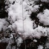 氷のドレス　短歌の画像