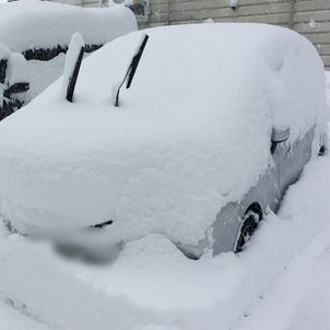雪のせいで通勤のバスが大変の画像