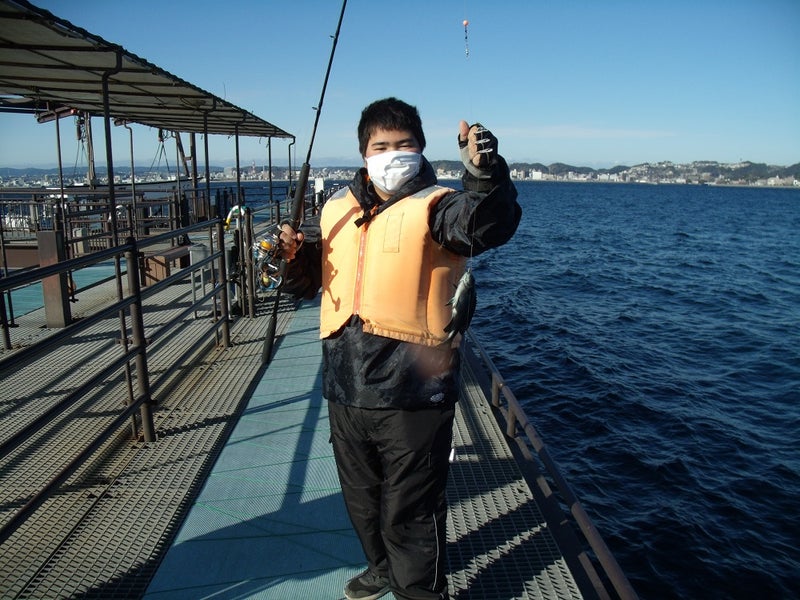 桜島海づり公園 １２月２０日の釣果 餌木作人の戯言 薩摩烏賊餌木 弾 だん の作者