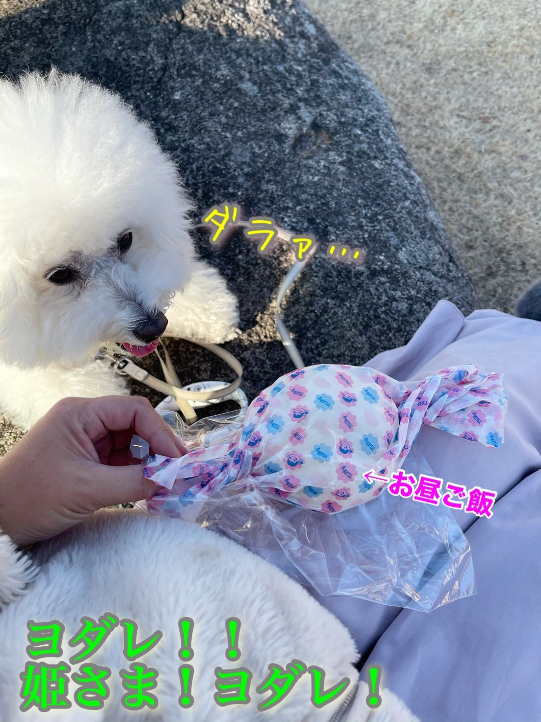 お庭でぽかぽかエル様と☆今年も1年お世話になりました! | EL's お庭でぽかぽかエル様と☆今年も1年お世話になりました! | EL's