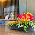 仕事納めでスタッフとディスりまくった最低な出来事の記事より