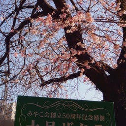 画像 ☆大晦日☆ の記事より 3つ目