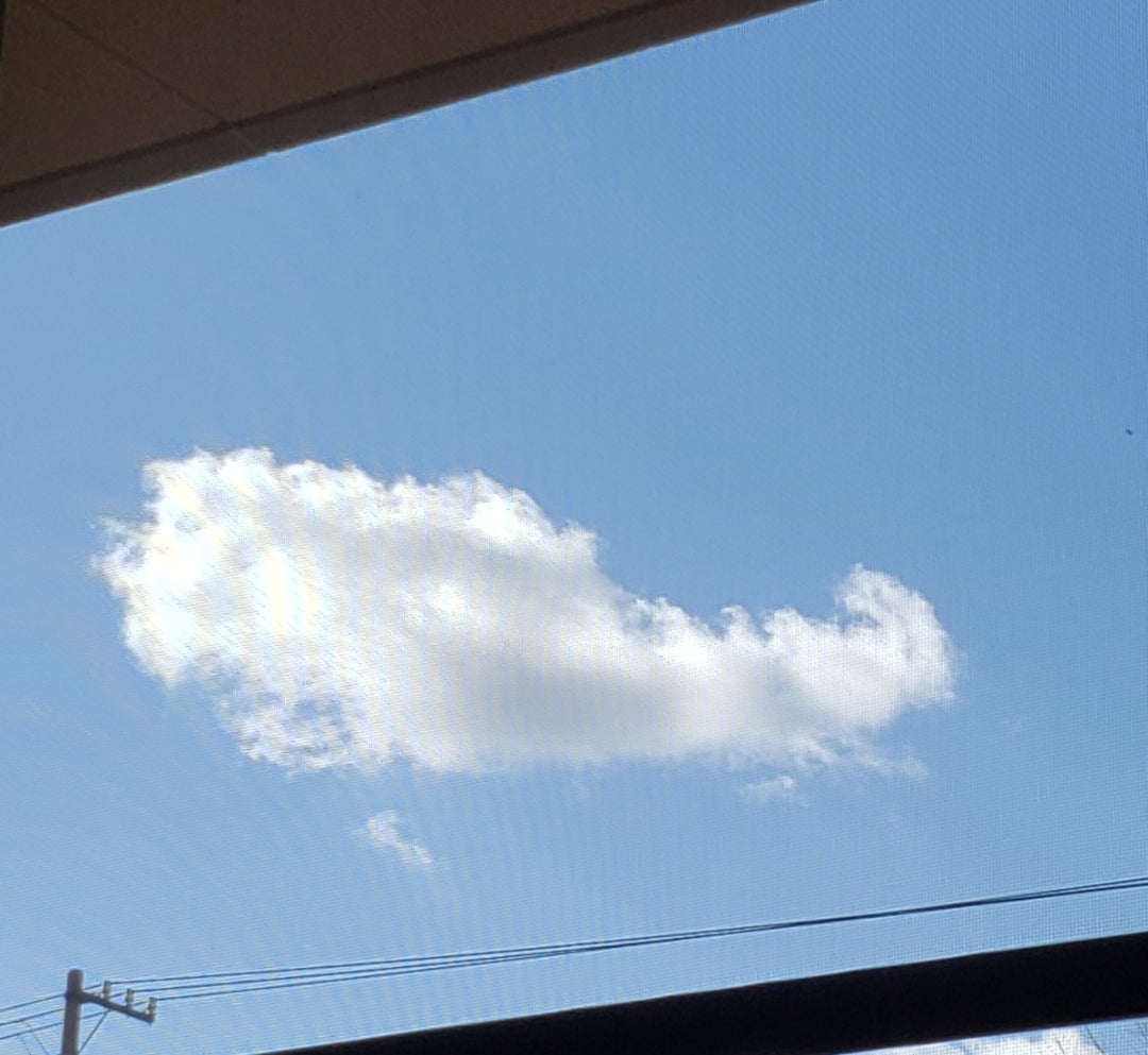 ブランド雑貨総合 クジラ雲