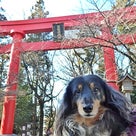 【リクエスト企画】冠稲荷神社参詣ツアー☆参加者様募集します！！の記事より