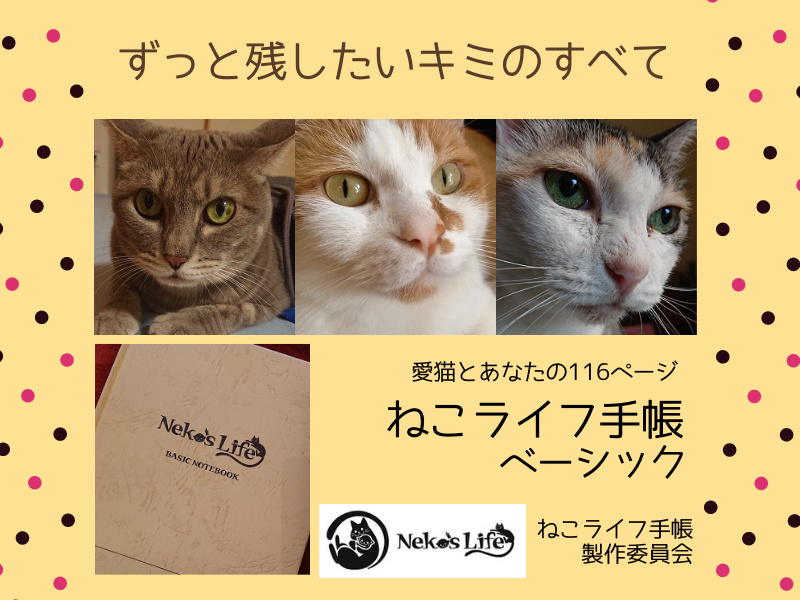 観察 記録の習慣化からはじめる 猫との共生 ねこライフ手帳製作委員会のブログ