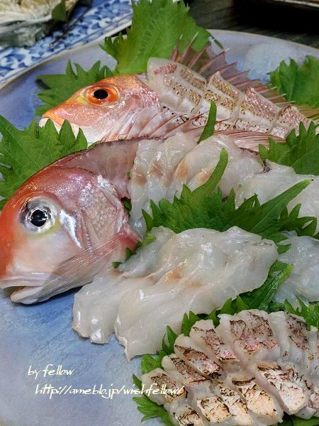 甘鯛 カイワリ レンコ鯛フルコースのおうちごはん ゆるやか糖質制限中 Fellowの美味しい物大好き