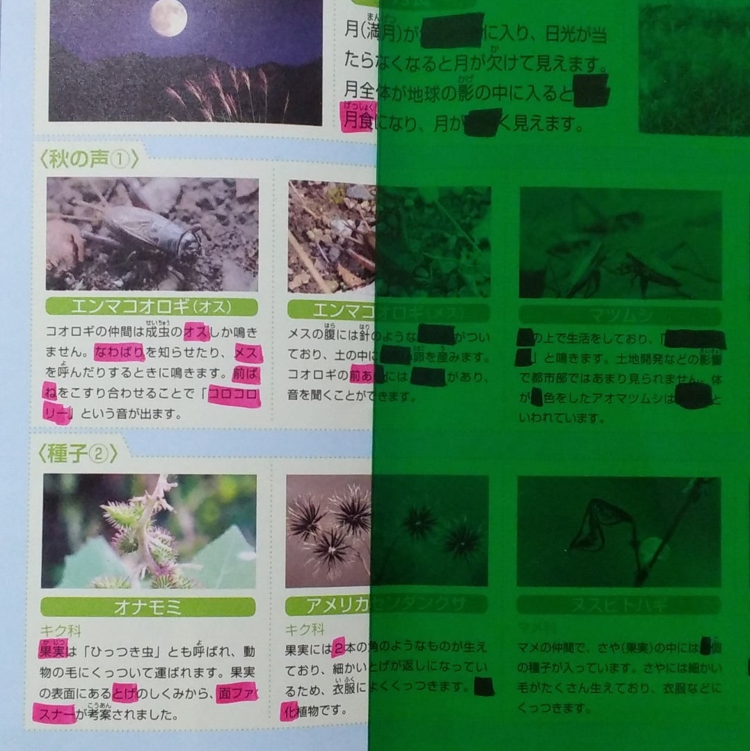 SAPIX理科4年】親のルーティーン | 6年間過ごす場所 SAPIX理科4年】親のルーティーン | 6年間過ごす場所