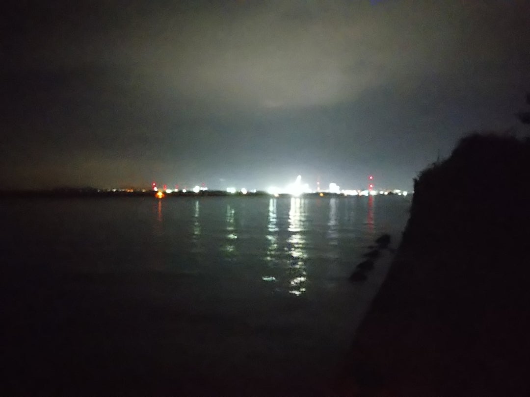 三池港メバル 上げリベンジ 三池の虎の備忘録 三池港メバル 上げリベンジ 三池の虎の備忘録