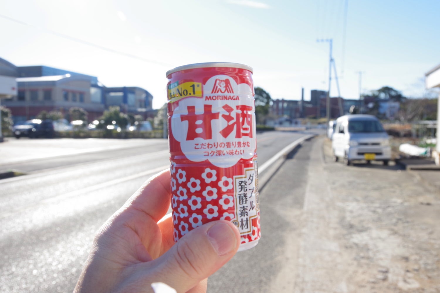 らんまるの街道歩き・暗渠散歩ブログ伊南房州通往還を歩く 第三回 上総一ノ宮‐大原 その4