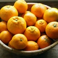 おとなりの柑橘農家さんからのおすそわけ。～ポンカン、デコポン、甘平～