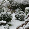 雪景色の庭と公園の画像