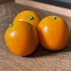 柑橘のシーズンの画像