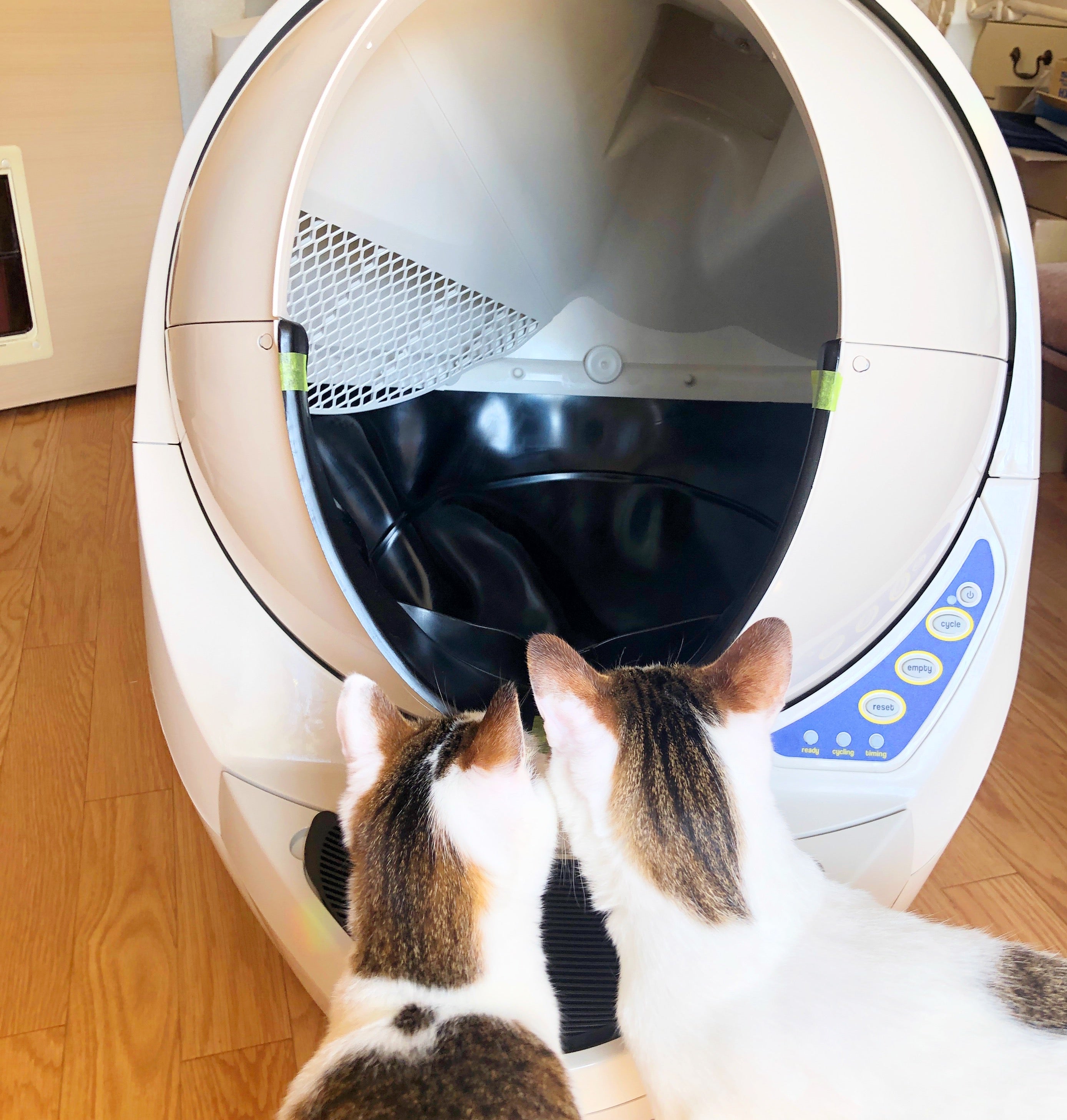 おトク litter·robot Open Air オープンエアー 全自動猫トイレ