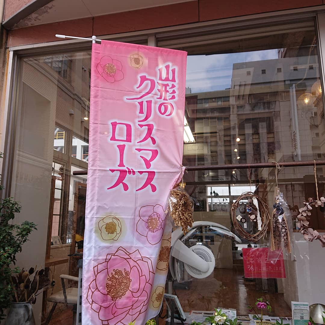 o1080108014892918911.jpg