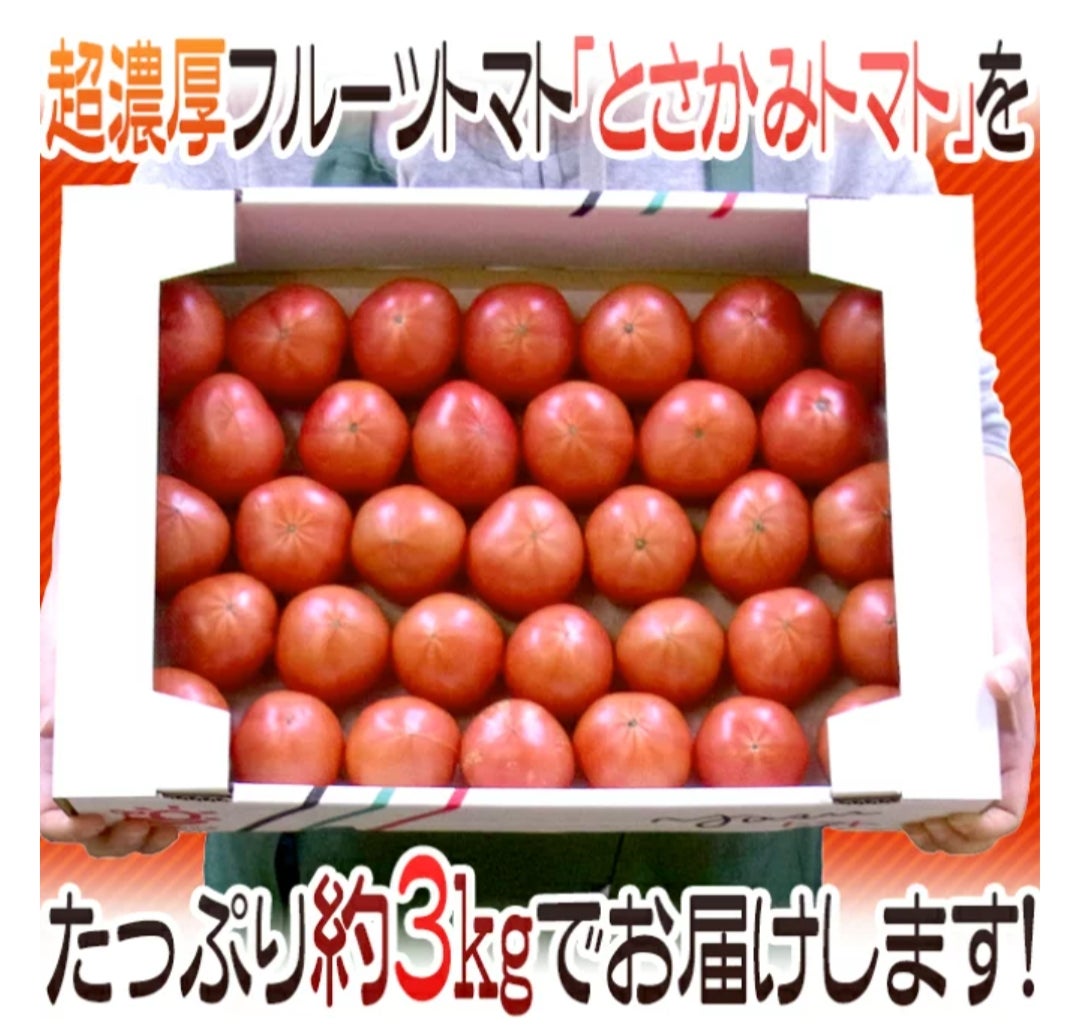 訳あり高級フルーツトマト 3キロで3333円！ | さきごんママのポイ活で貯金＆節約ブログ