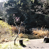 金沢自然公園の画像