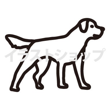 骨太筋肉質でも従順で温和な犬のイラスト イラストショップ管理人たちのブログ