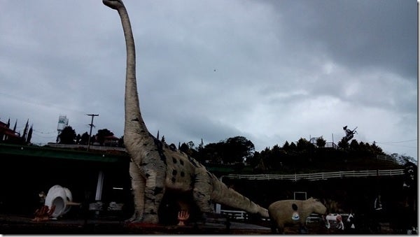 ブラジル ビッグ ニュース 広橋さんが撮られた恐竜の写真が届きました 私たちの50年