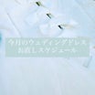 23.10月ウェディングドレスのサイズ直し仮縫い受付日程　コウベキタノフェリーニ