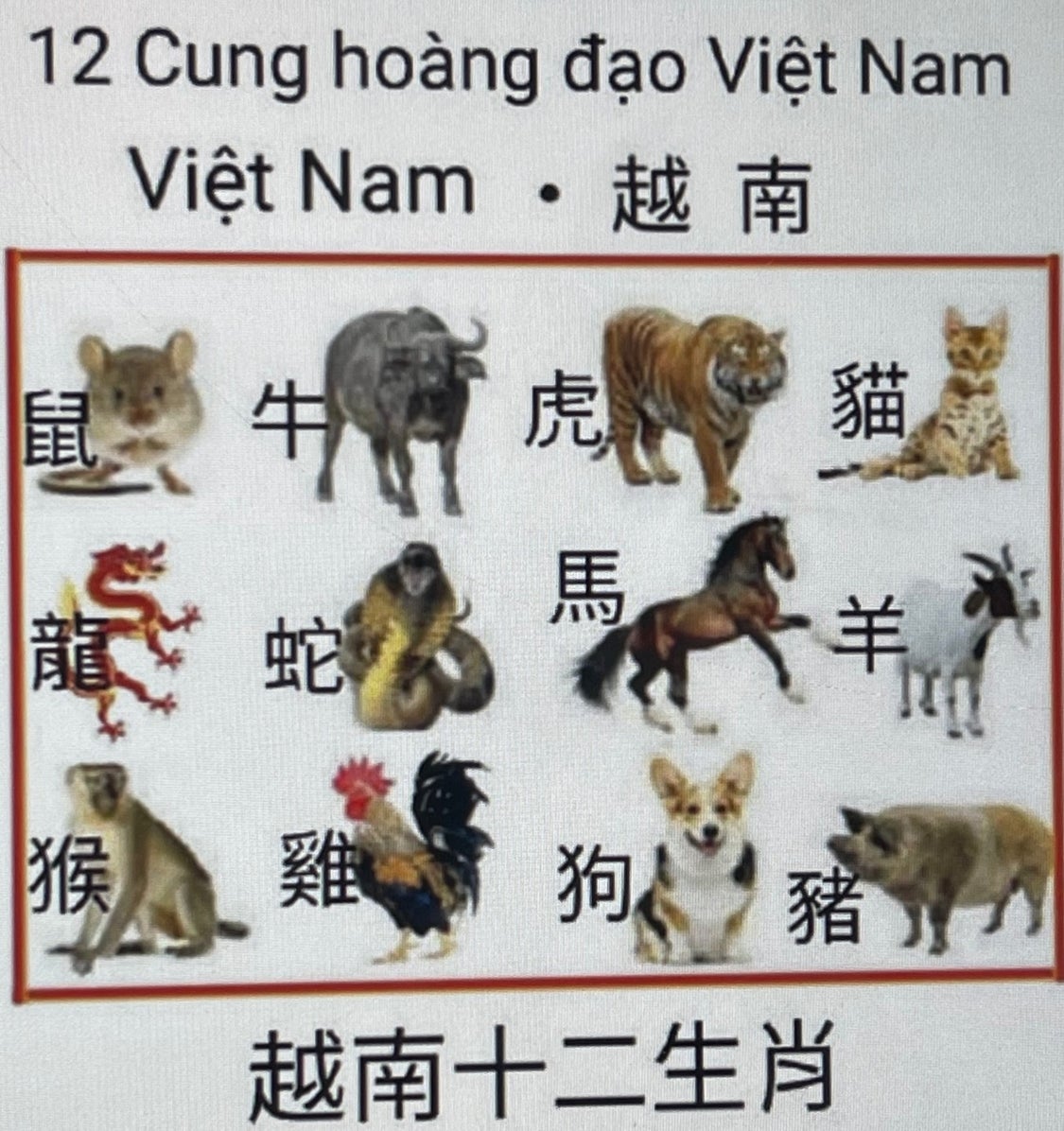 ベトナムでは卯年は猫年　ネコ年生まれの怪　アジアの干支の記事より