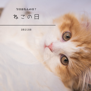 2月22日は猫の日(ΦωΦ)の画像