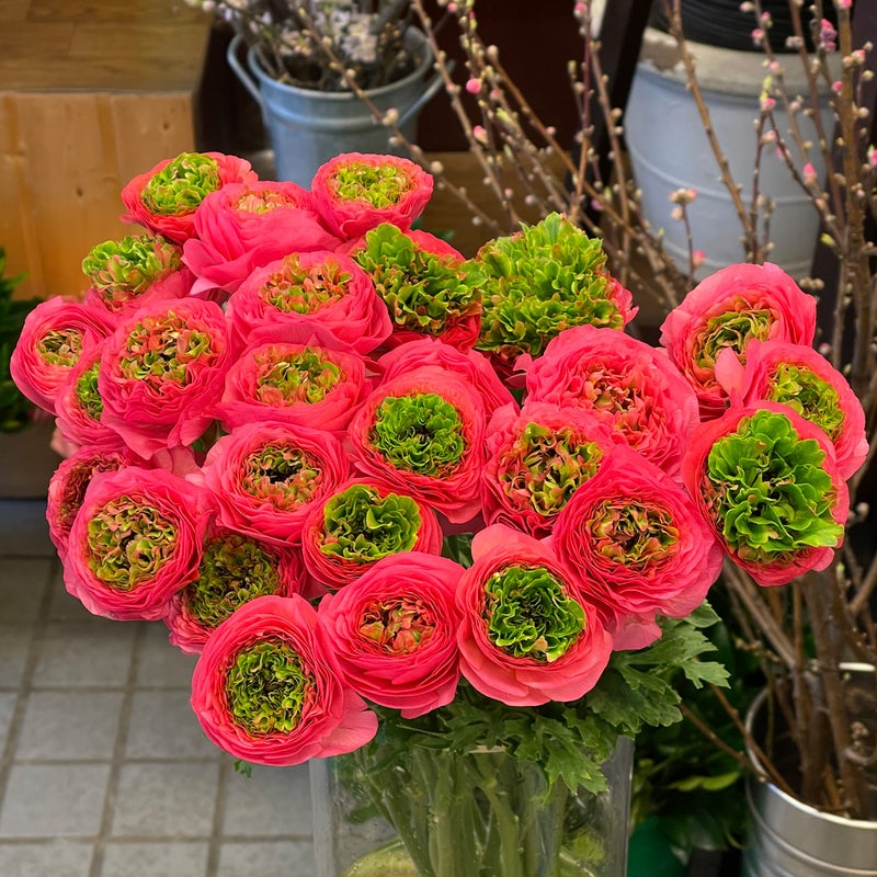 大田区の花屋の新着記事 アメーバブログ アメブロ