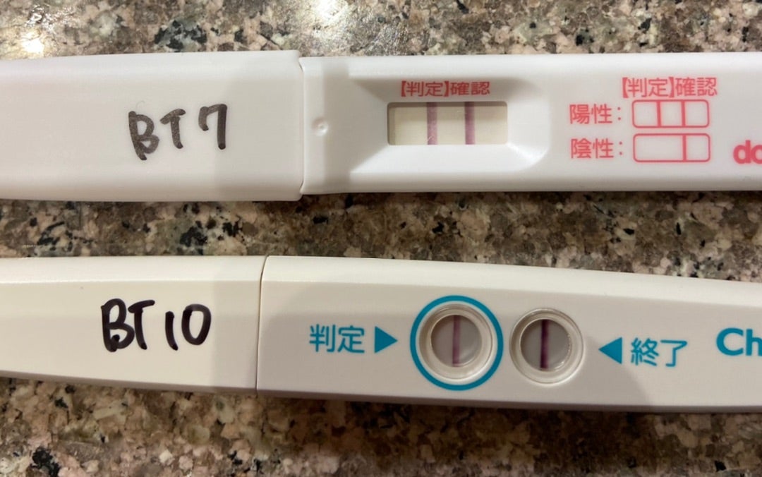 ★移殖周期　BT10  判定日前日　最後のフライングの記事画像