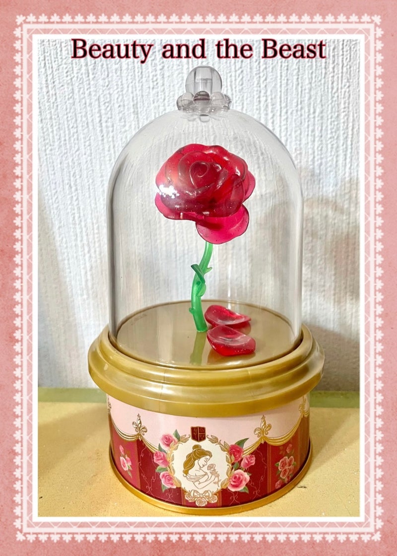 美女と野獣 魔法のバラの紅茶缶 Koyumin Cafe