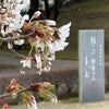 藤井風「死ぬのがいいわ」、夏目漱石・二葉亭四迷と希薄化する現実の画像