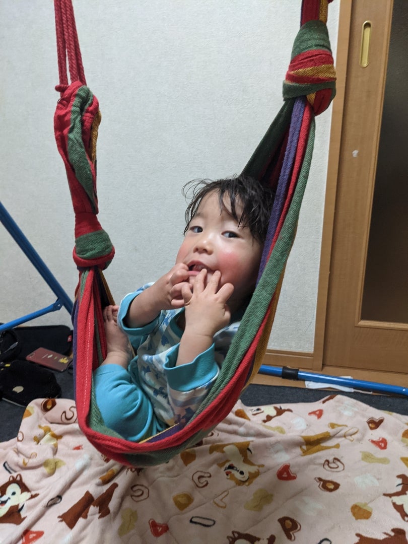 ハンモック 鉄棒 Amazon.co.jp: ミズタニ ハンモック鉄棒 アリアナ 