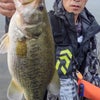 庄内川でバス釣り　５釣行連続４５アップに挑戦の画像