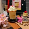 しゅうまい弁当と  マック 至福の珈琲ゼリープリンフラッペの画像