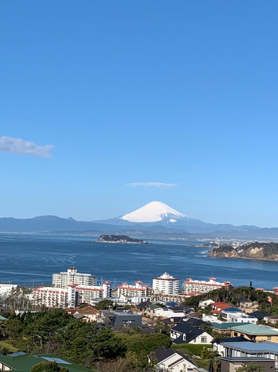 晴れやかな朝の記事画像