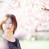 撮影会：春のふんわり桜撮影会の画像