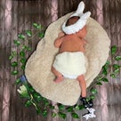 ニューボーンフォトの記事より