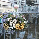 ガーデンネックレス横浜：「マサぽん」の横浜ものがたりの記事より