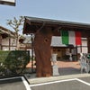 日本一のバンジージャンプですの画像