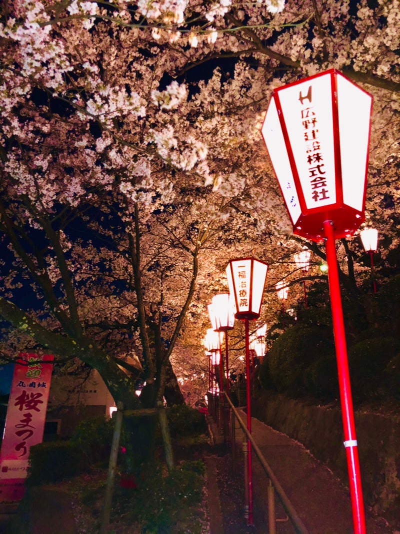 おでかけ 丸岡城桜まつり おふざけな日々