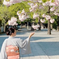 ブログ投稿画像