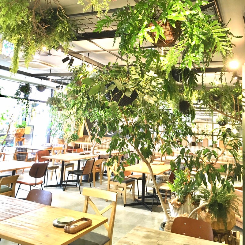 観葉植物いっぱいのカフェインテリア 働くオトナ女子の癒しとパワーアップインテリア 奈良坂 りえ 神奈川 全国