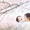 ふんわり桜撮影会レポートの画像