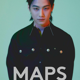 画像 MAPS の記事より 15つ目
