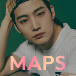 画像 MAPS の記事より 2つ目