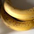 バナナを食べ続けて何十年？（笑）