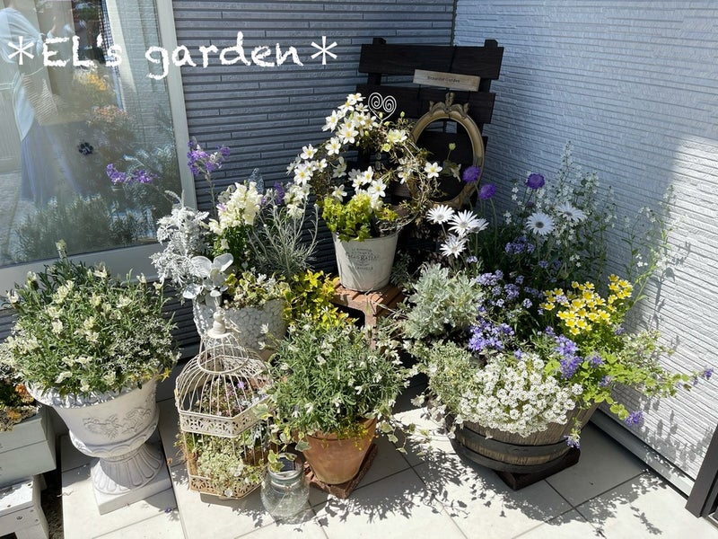 花のポテンシャルを上げる寄せ植えのススメ | EL's garden☆犬天使の棲む庭