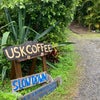 USK COFFEEの画像