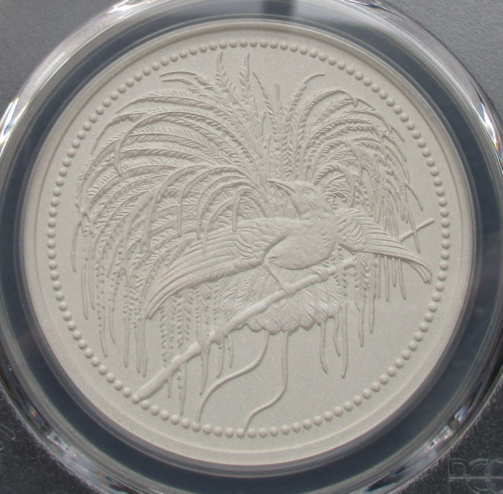 極楽鳥のモダン銀貨について | teruri20のアンティークコイン収集記