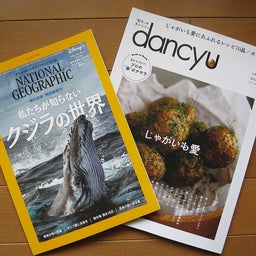画像 ナショジオとdancyu の記事より 1つ目