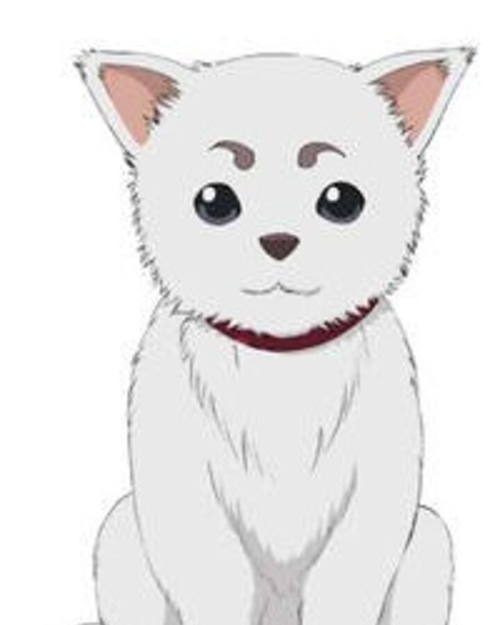 今日は愛犬の日の記事画像